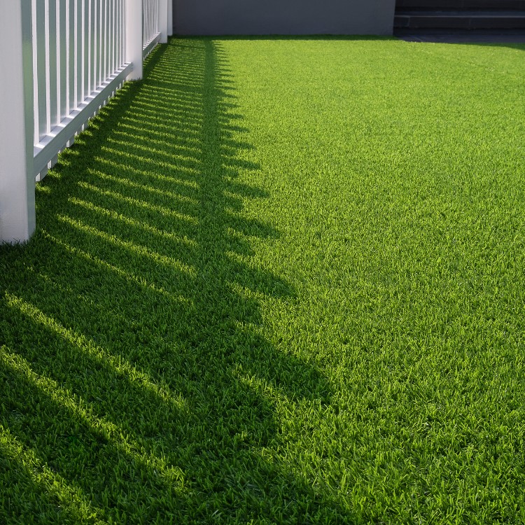 Turf and landscaping in LA County, CA